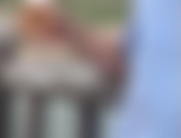 Chien99, Un homme, 48 ans, Ans (3)